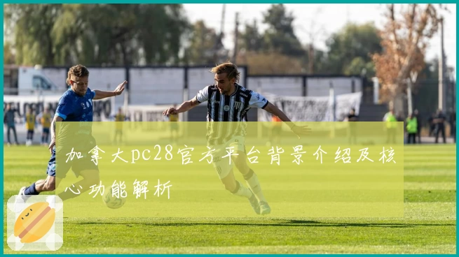 加拿大pc28官方平台背景介绍及核心功能解析